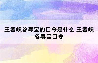 王者峡谷寻宝的口令是什么 王者峡谷寻宝口令